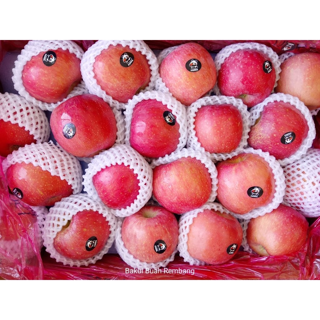 apel Fuji blush premium