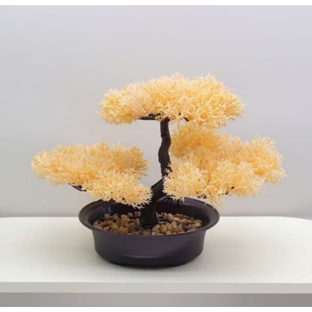Bunga bonsai asoka atas meja