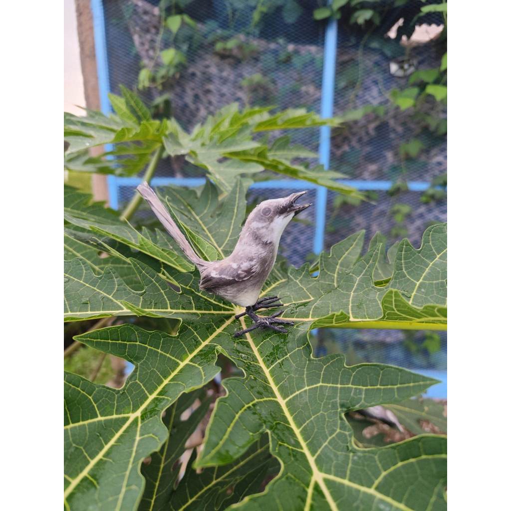 Jontrot patung burung ciblek kristal / boneka manuk ninin kapas