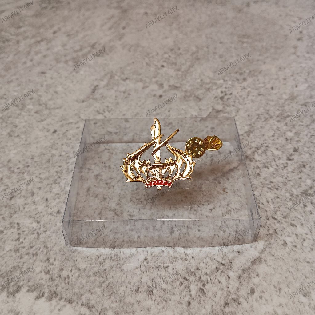 Pin wing brevet para raider