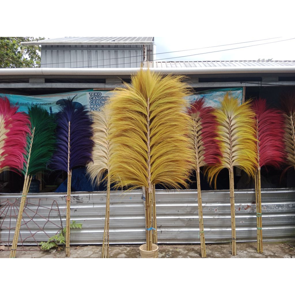 HOME DECOR Pampas Rayung Gradasi  /GRATISEKSTRAPACKING/Murah /Stik rayung / Rayung Panjang Tangkai 2