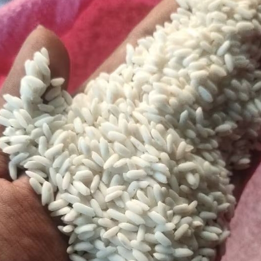 BERAS KETAN KEPALA SUPER PUTIH SIEM SUBANG