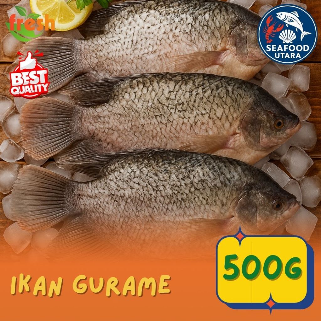 Gurame Segar 500 gr – Ikan Air Tawar Segar, Bersih Siap Masak | Gurame Fresh”