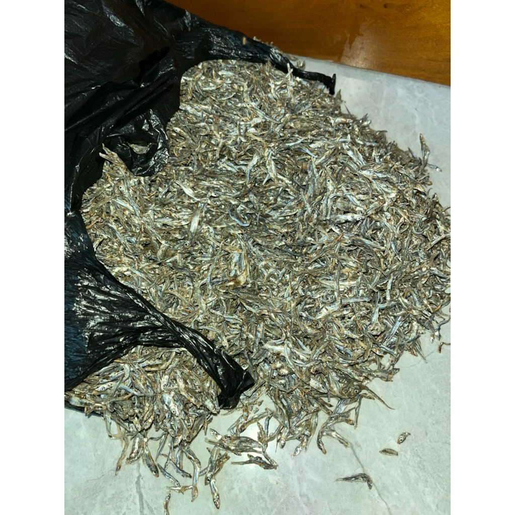 ikan teri lure