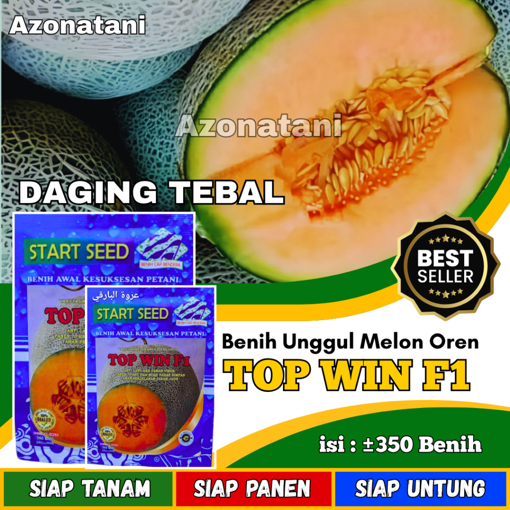 Benih Melon Oren TOP WIN F1 Bibit melon super manis | bibit melon oren jumbo | benih melon unggul