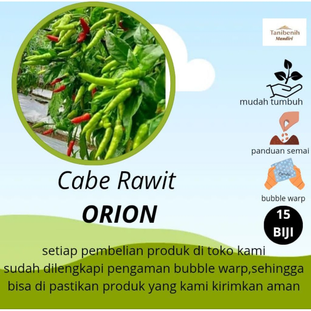 15 Biji benih Cabe rawit ORION