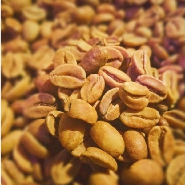 Greenbean Arabika Wine 1kg wonosobo Specialty Coffee Beans | Biji Kopi Mentah Arabica