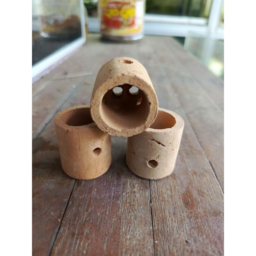 pot tanaman air