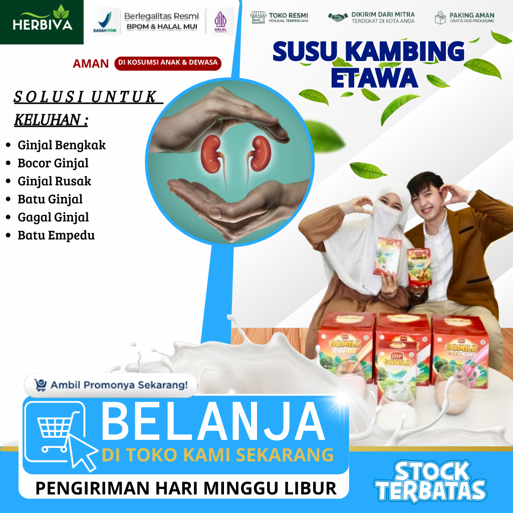 Gomilk Sachet 25Gr- Suplemen Herbal Obat Ginjal Bengkak Ginjal Bocor Ginjal Kronis Gagal Ginjal Cuci
