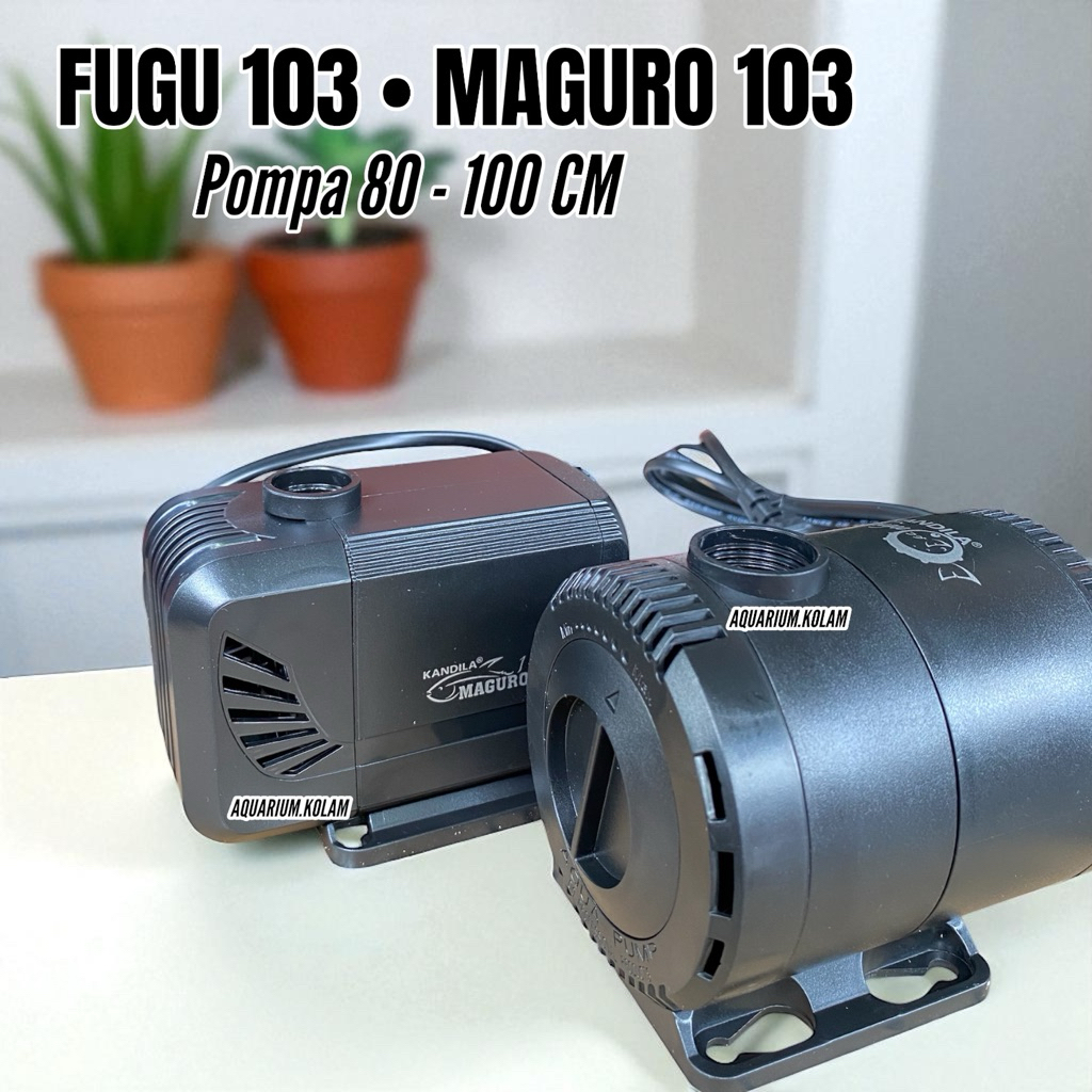 POMPA AQUARIUM 80-120CM 1800-2200L TERBAIK KANDILA MAGURO MARLIN FUGU 103
