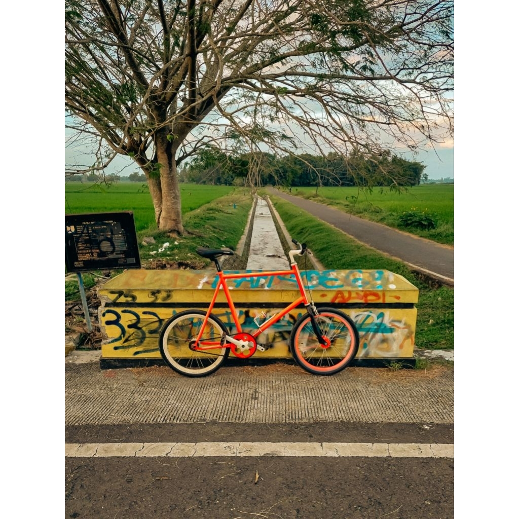 Minivelo United Soloist