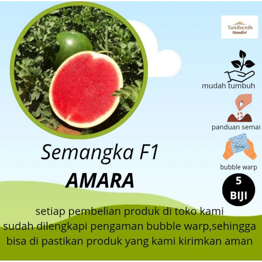 5 Biji Benih Semangka hibrida Non Biji AMARA F1