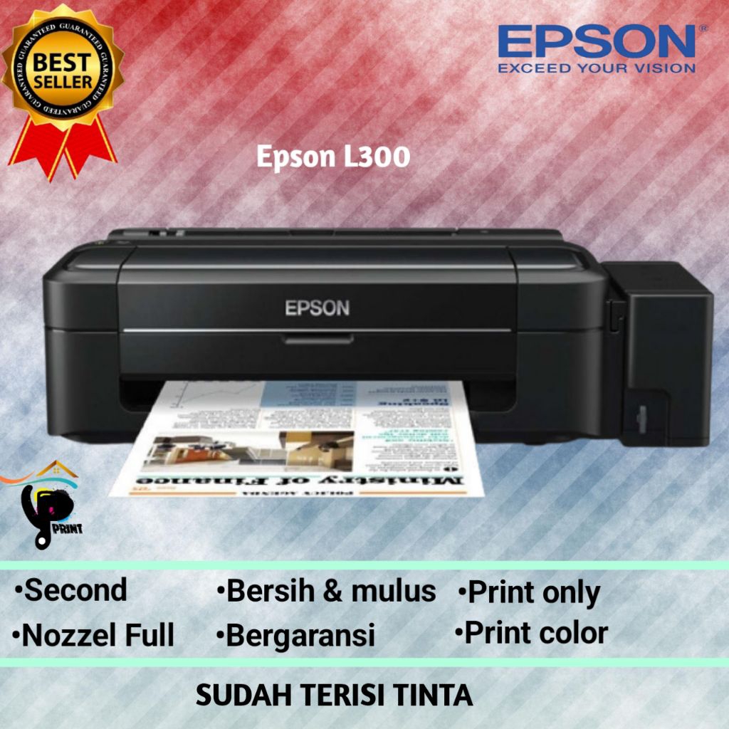 printer Epson L300 Second