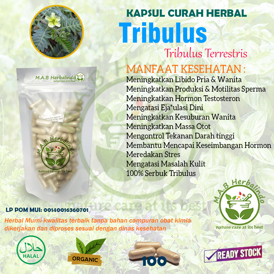 Kapsul Herbal Tribulus – Daya Tahan & Performa Alami - 100 Kapsul