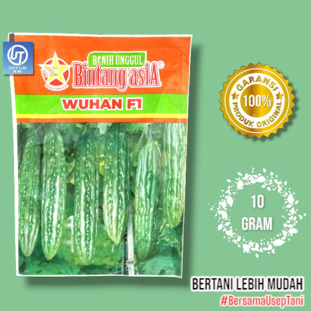BENIH PARE PARIA WUHAN F1 10 GRAM BINTANG ASIA