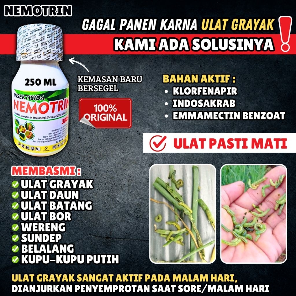 𝗔𝗠𝗣𝗨𝗛  𝗣𝗘𝗠𝗕𝗔𝗦𝗠𝗜 𝗛𝗔𝗠𝗔 NEMOTRIN - Insektisida Sistemik Ulat, Wereng, Sundep