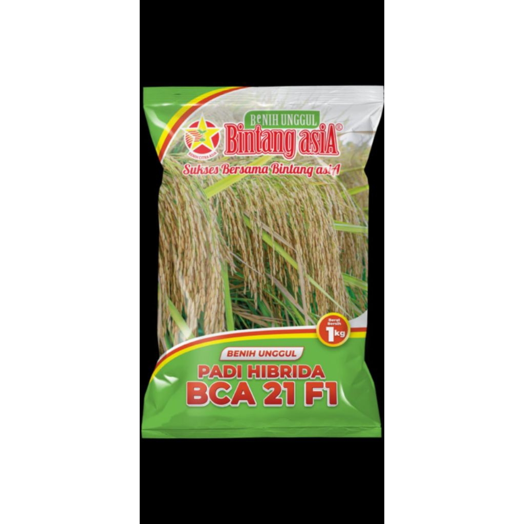 BenihPadiHibridaUnggul