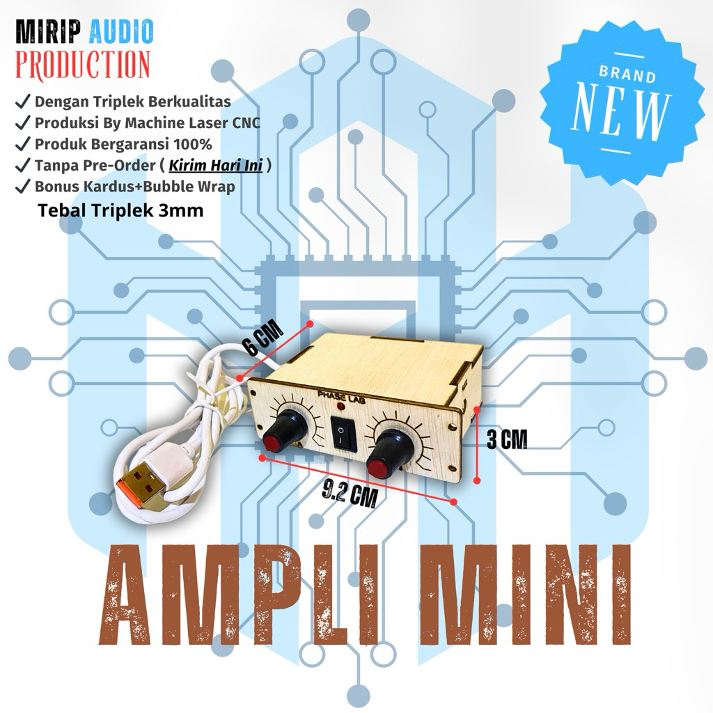 Miniatur Box Power Amplifier MINI