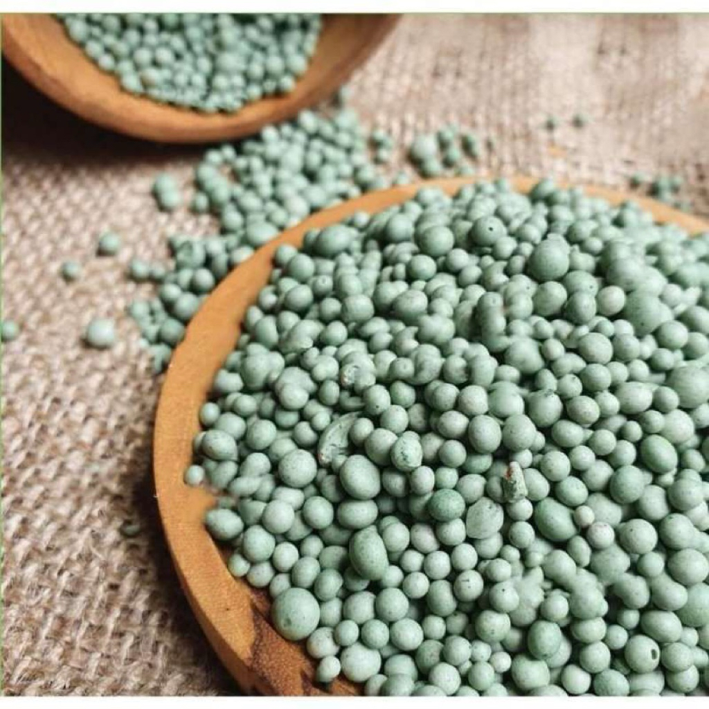 Pupuk NPK Booster 15-10-20 + TE Cap Tawon Kemasan Repack 30 gram