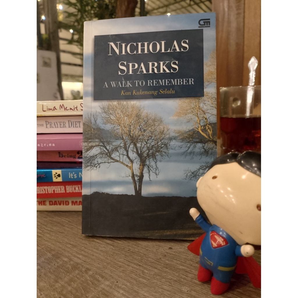 Preloved Ori Novel A Walk To Remember #Nicholas Sparks