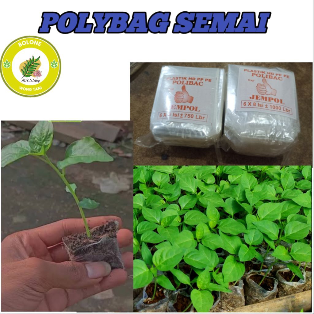 PP SEMAI ISI 1000/polybag Semai/POLYBAG/plastik bening/polibek tanaman/plastik pp/media penanaman ca