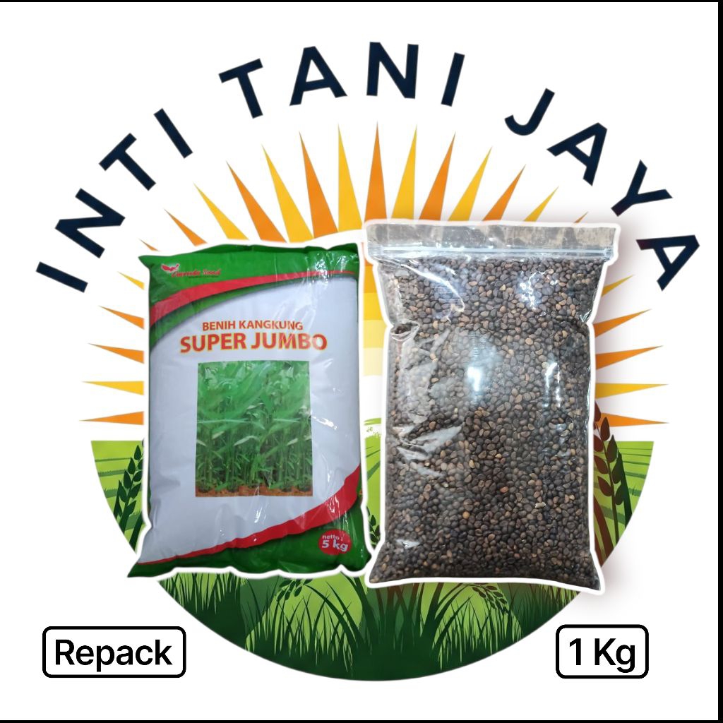 Bibit Kangkung Daun Lebar 1 Kg Repack Bibit Kangkung Super Jumbo