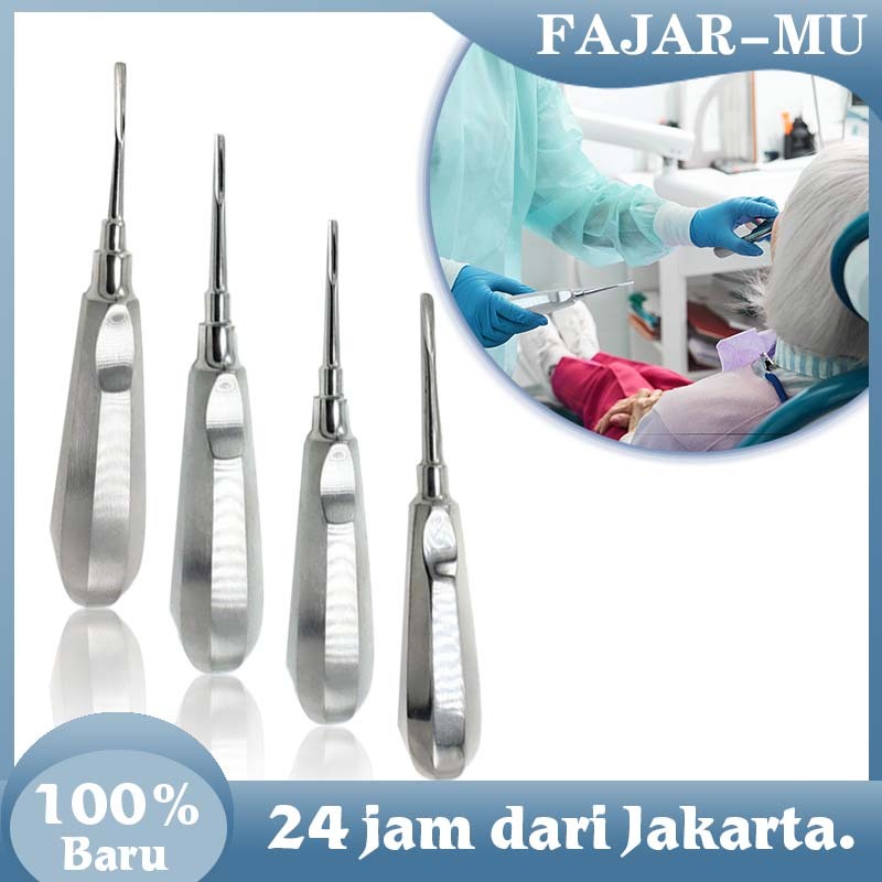Alat Tang Cabut Gigi Dewasa Anak / Dental Bein Root Elevator / Dental Elevator