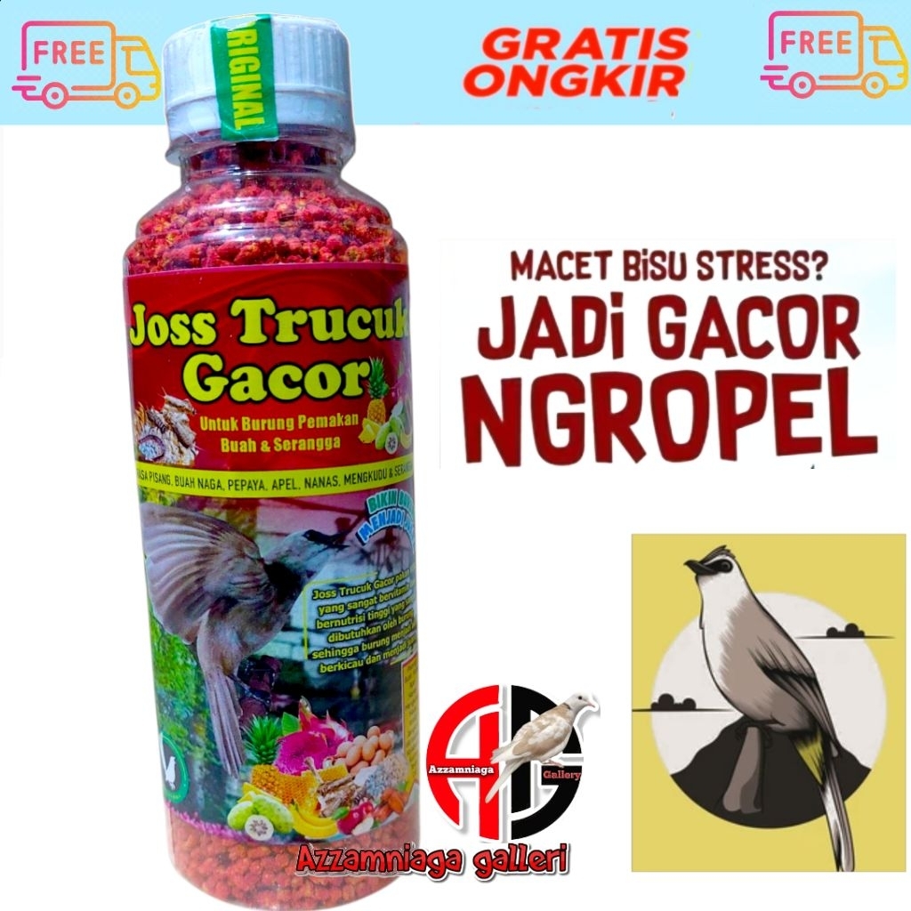 VOER JOSS TRUCUK  GACOR  BURUNG TRUCUKAN JOS TRUCUK BOTOL