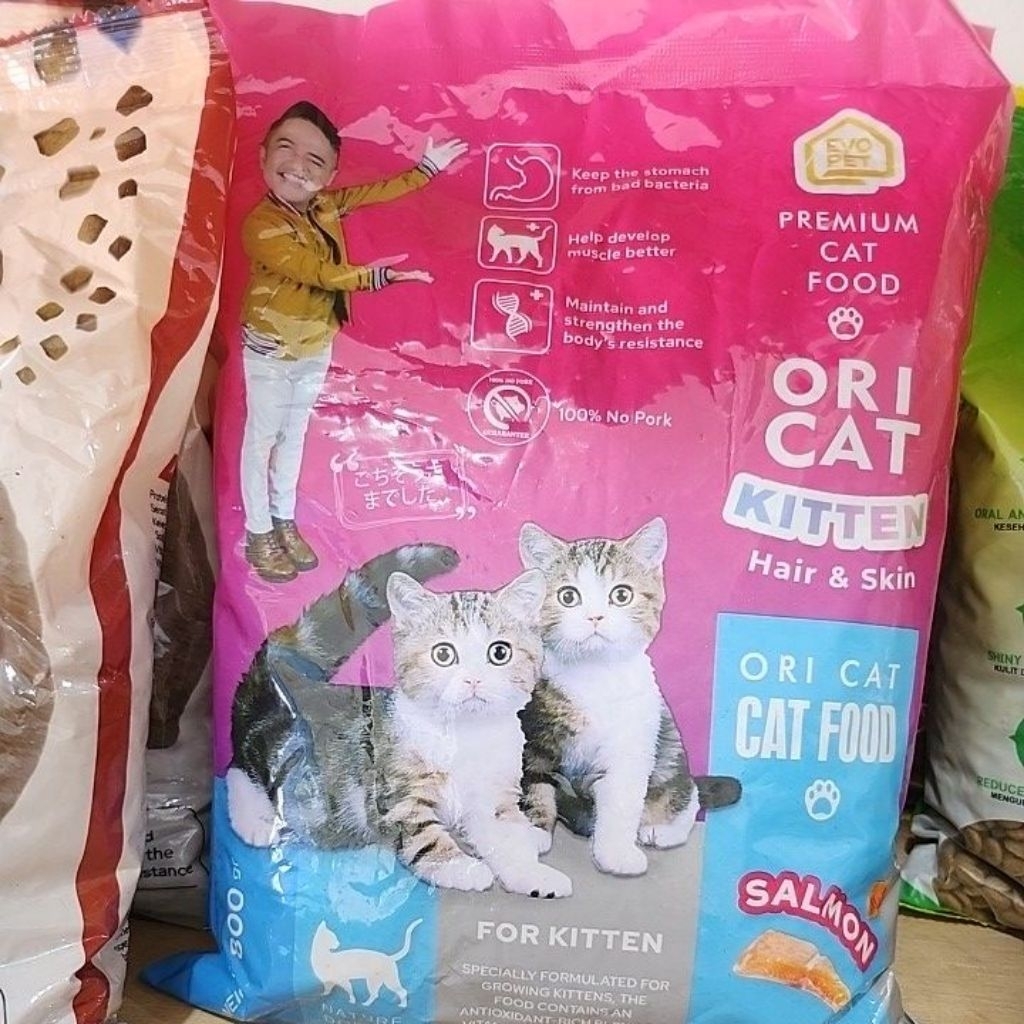 OriCat Kitten Hair & Skin Dry Cat Food