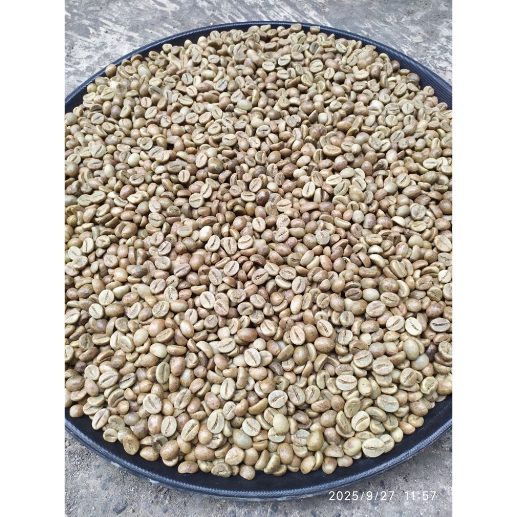 Kopi Mentah Robusta (Single Origin Banaran) G1 Per 1000g (1Kg)