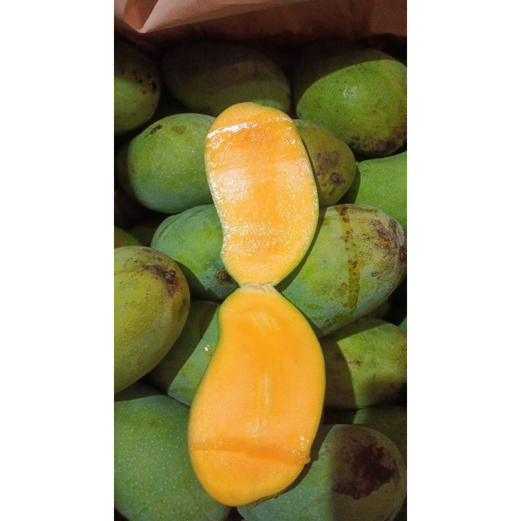 Mangga Harum Manis super