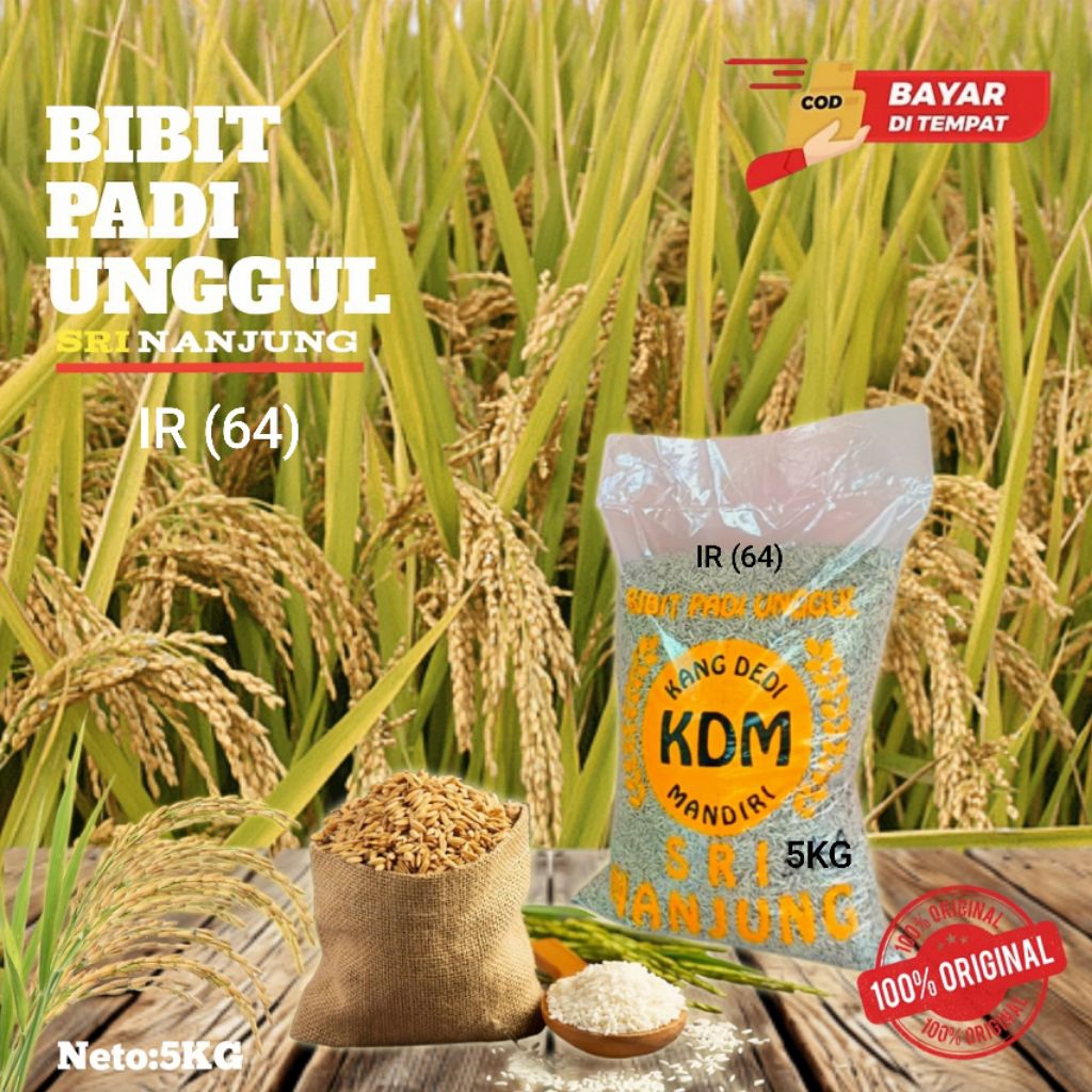 BENIH PADI UNGGUL BIBIT PADI IR 64 GENCER BERSERTIPIKAT KEMASAN 5 KG