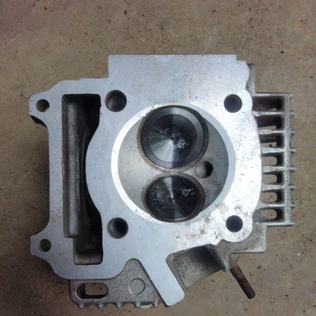 head Vega r jupiterz klep3428