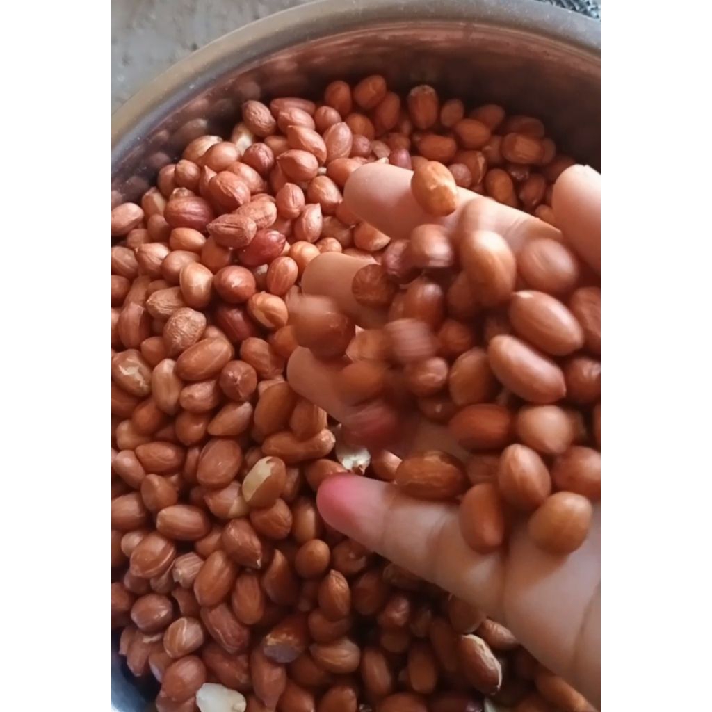 kacang tanah mentah 1000g(1kg) brg berkualitas rasa enak