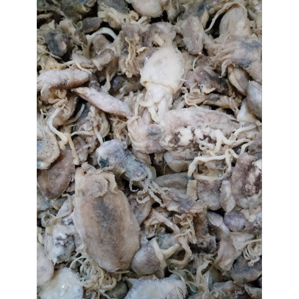 CUMI ASIN BEKUTAK