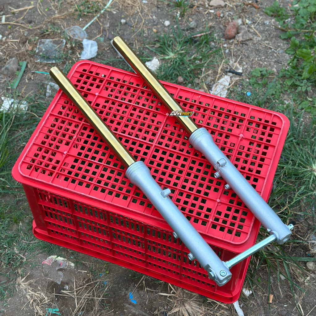 SKOK AS BOTTOM NINJA RR AS GOLD IMPORT AS 33