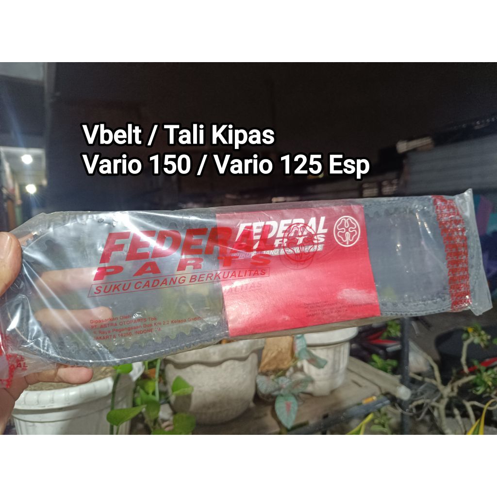 V-belt/Tali Kipas Vario 150 , Vario 125 Esp