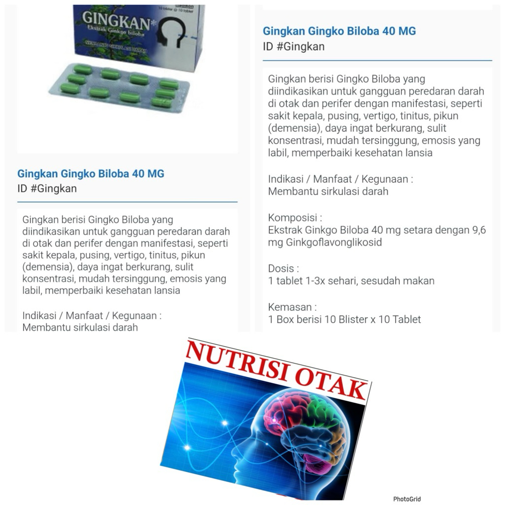 Gingkan Nutrisi otak Terbaik