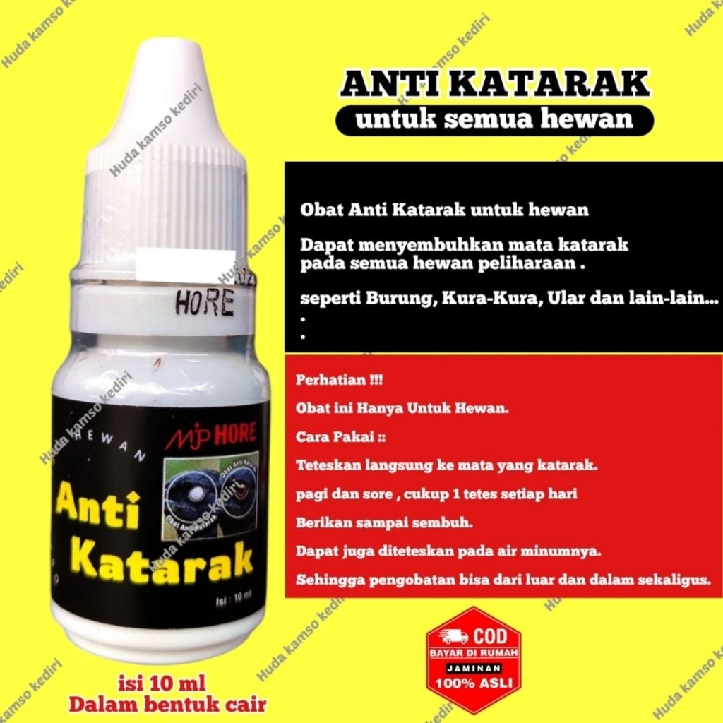 ANTI KATARAK MP HORE OBAT KATARAK BURUNG