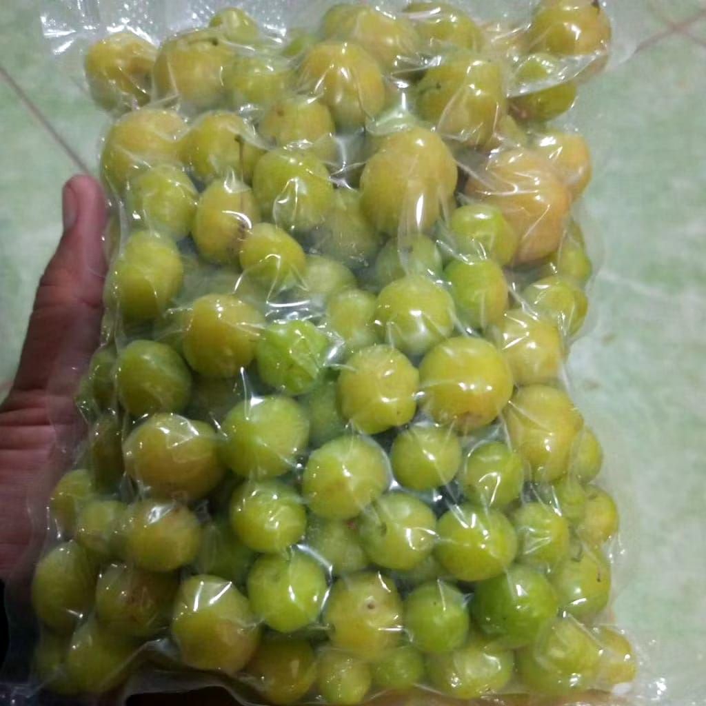 CERMAI/CERME SEGAR BARU PETIK