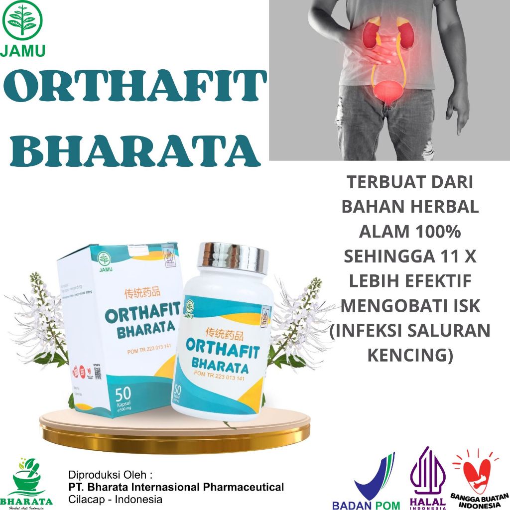 Obat Infeksi Saluran Kencing AMPUH ORTHAFIT BHARATA Obat Gagal Ginjal Infeksi Ginjal Batu Ginjal