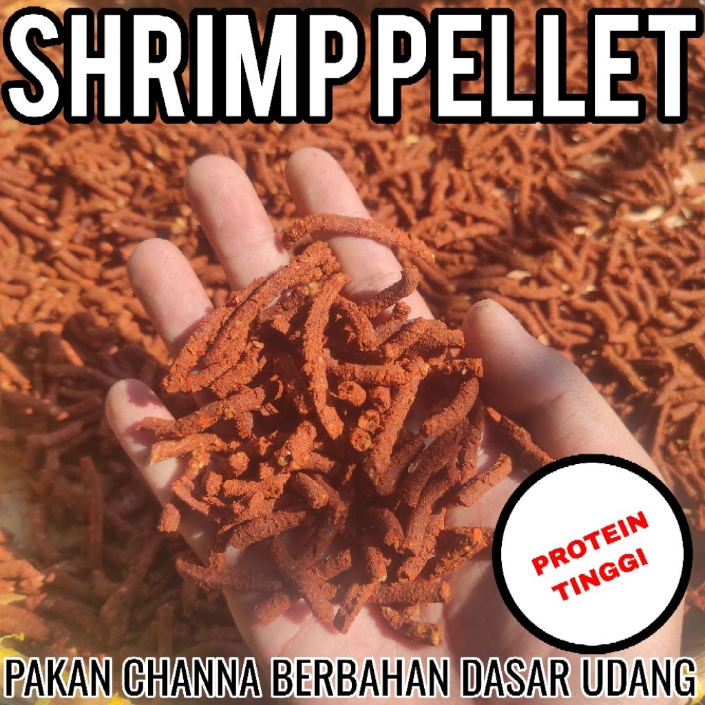 Shrimp Pelet 1kg  Pakan Channa Dari Udang