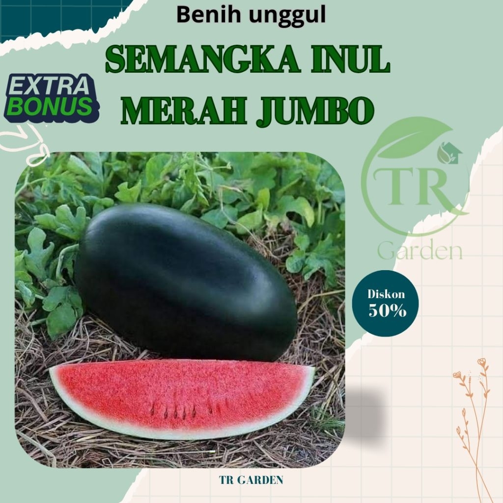 ( 100 biji ) Benih biji SEMANGKA INUL MERAH JUMBO MANIS repack | Murah