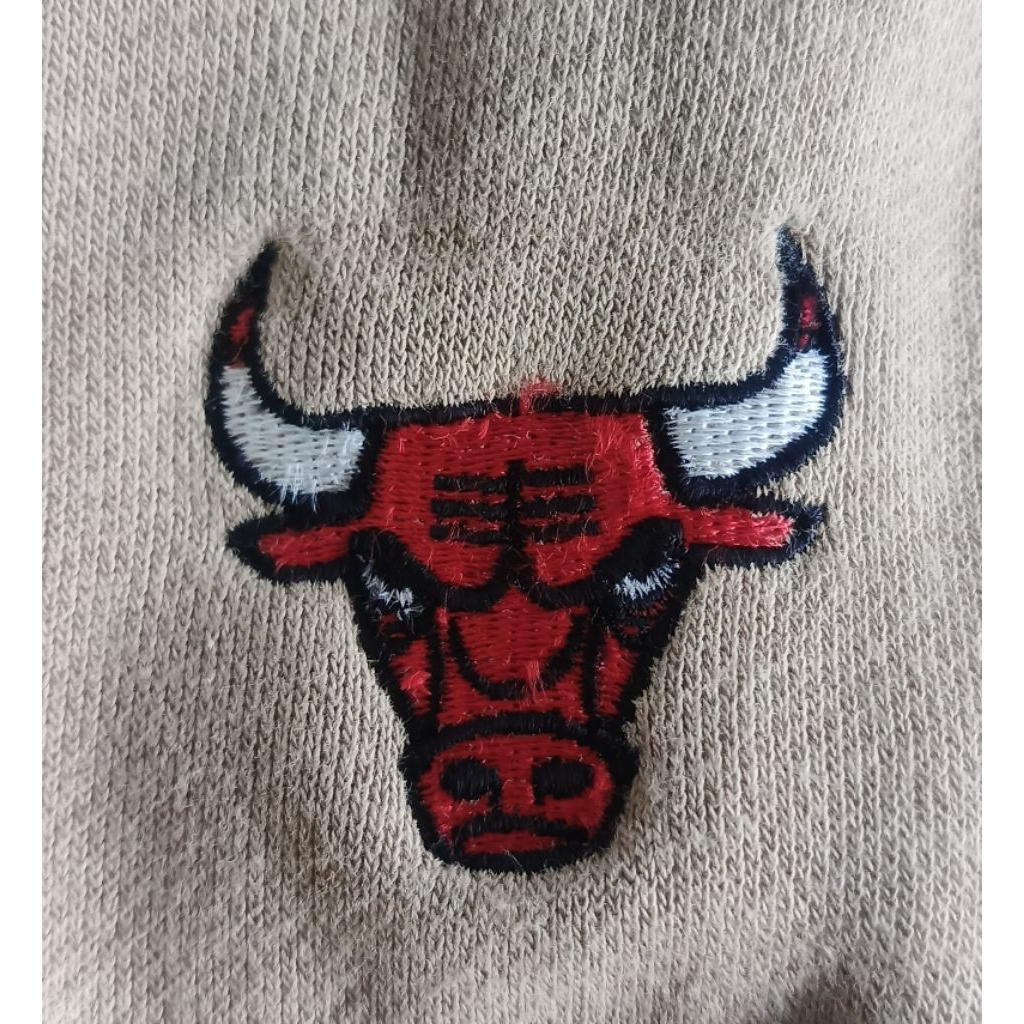 CN ChiBulls small Logo