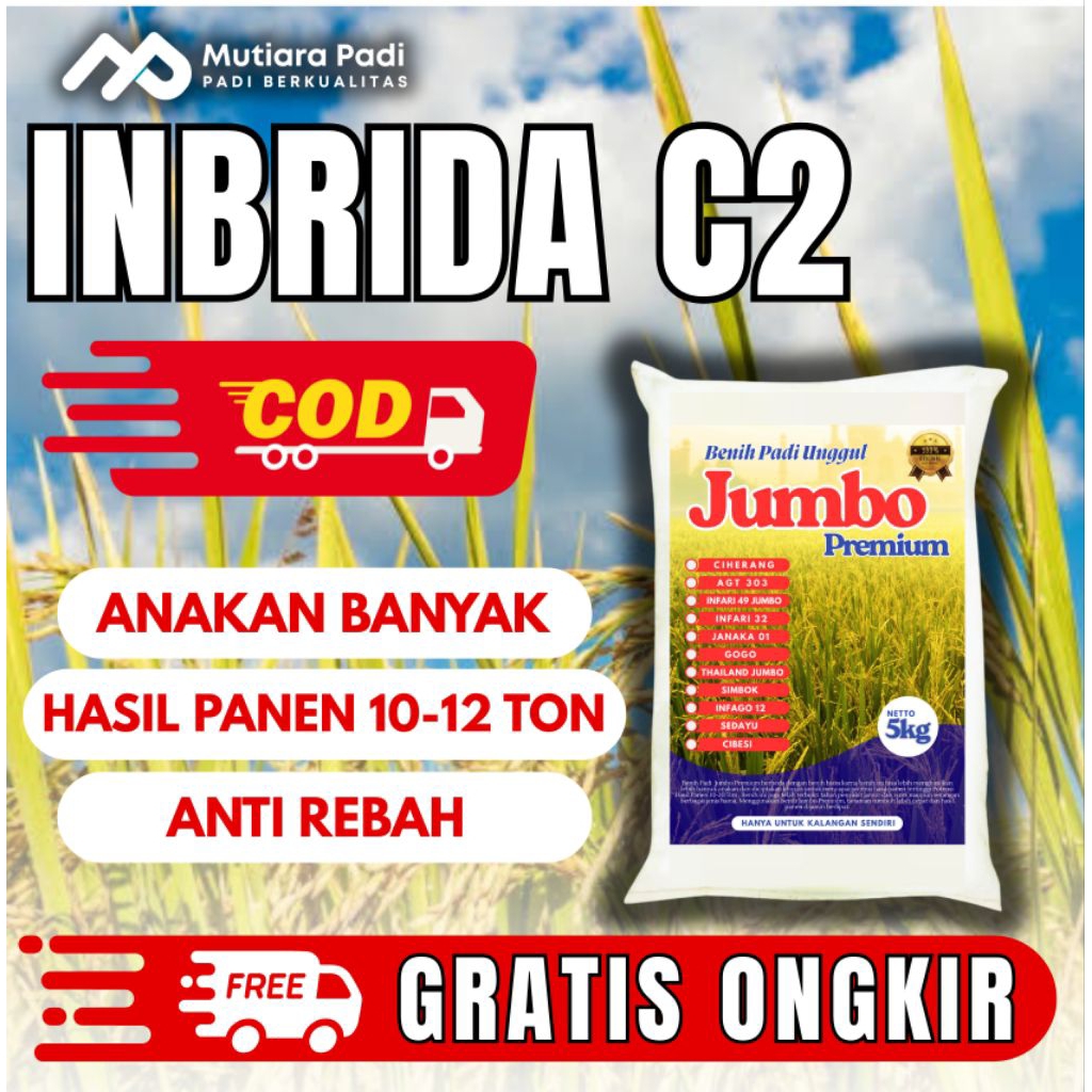 Benih padi bibit padi INBRIDA C2 original 1 kg