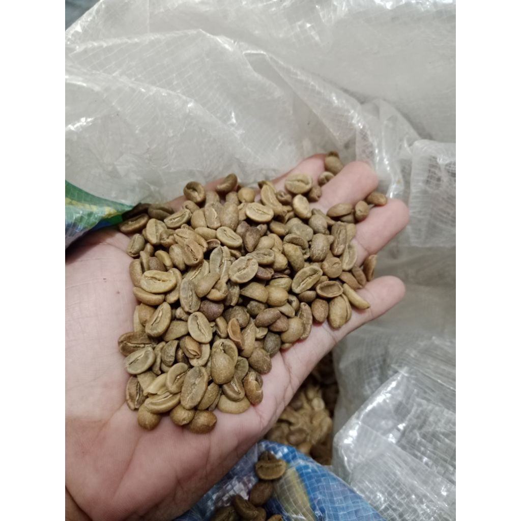 biji kopi mentah jenis Arabica 1 kg