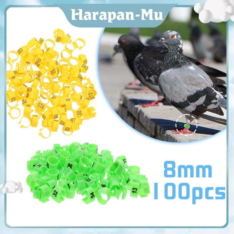100Pcs 8mm Ring Klip Merpati / Nomor 001-100 Ring Klip Merpati Dewasa
