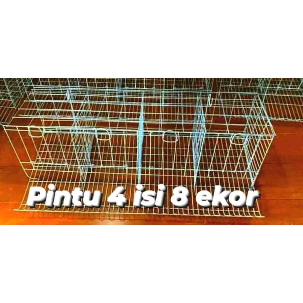 Kandang ayam petelur Galvanis