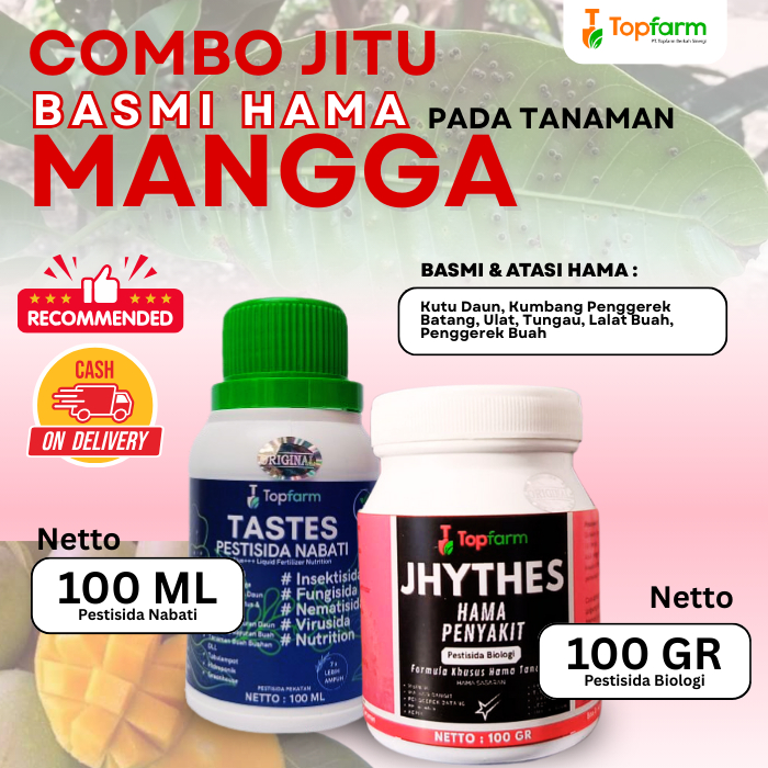 Insektisida Pohon Mangga / Obat Hama Pohon Mangga / Obat Hama Ulat Buah Mangga / Obat Semprot Hama B