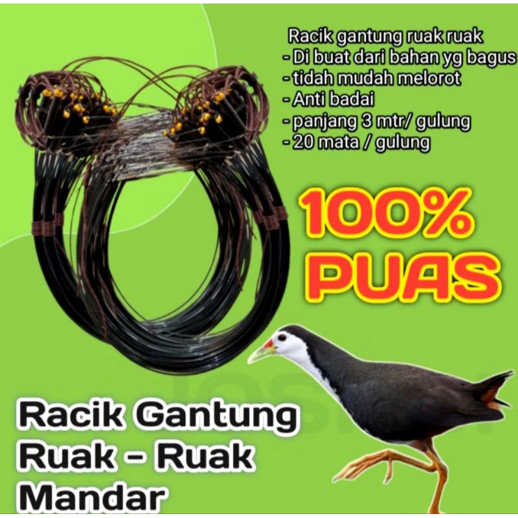 JERAT BURUNG RUAK-RUAK JERAT GANTUNG